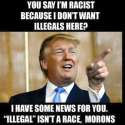 Trump-100.jpg