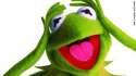 130131044804_kermit_the_frog_muppets_large_169.jpg