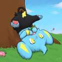 Shinx9.jpg