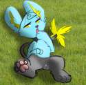 Shinx15.png