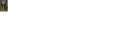 555.png