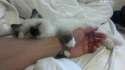 arm-cuddle-624x351.jpg