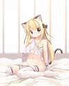 nekololi14.jpg