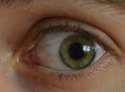 eye022.jpg