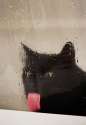 cat-licking-glass-9__700.jpg