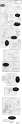 CASTRATION OF BURRITO 1.png