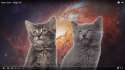 space kittens.jpg