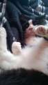 WP_20130429_001.jpg