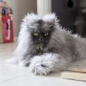 cat-colonel_meow2.jpg