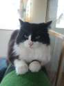 DSC00028.jpg