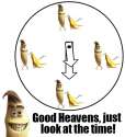 1448554759751.jpg