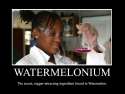 Watermelonium..+The+secret+of+nigger+dating_acf507_3686334.jpg
