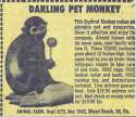 petmonkeycomic.jpg