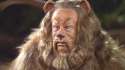 cowardly-lion.jpg