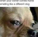 tumblr_o0lsexkUSj1uhjv9ko1_1280.jpg