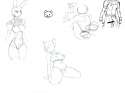 canvas1028558_52627.png