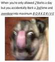 12745901_1682661395349514_2030028381930760407_n.jpg
