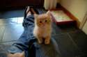 s-only-a-few-weeks-old.jpg