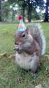 s-Oooooh-I-hope-I-get-nuts.jpg