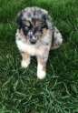 s-Our-newest-family-member.jpg