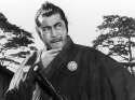 yojimbo (1961).jpg