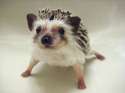 s-Ready-for-my-bath.jpg