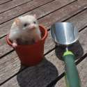 s-Ready-for-some-gardening.jpg