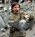 pigeonattack.jpg