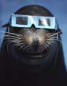s-Seal-3-D..jpg