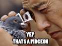 yes pige.jpg