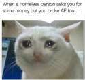LdlQsT6.jpg