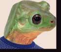 1454316925153.gif