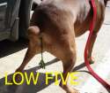 low five.jpg