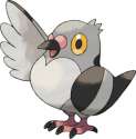 pidove.jpg