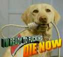 ejCmOE7.jpg