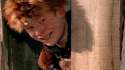scut_farkus_2012_h.jpg