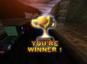 YOU'RE_WINNER_trophy.jpg