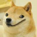 Shibe8.jpg