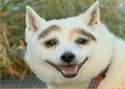 The Best.jpg