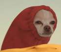 dunedoge.jpg