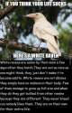 FB_IMG_1456682343679.jpg
