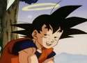 goku1.jpg
