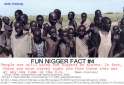 Fun Nigger Fact 4 Slaves.jpg