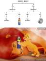 WD-40-Solution.jpg