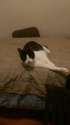 IMAG0948.jpg
