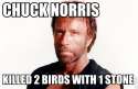 chuck_norris.jpg