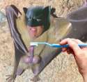 weirdest thing ive seen on b.jpg