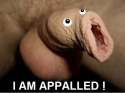 apalled.jpg