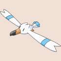 250px-278Wingull.png