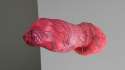 red_dog_dick.jpg